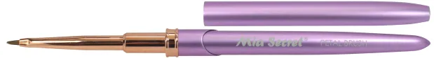 Nail Art Brushes