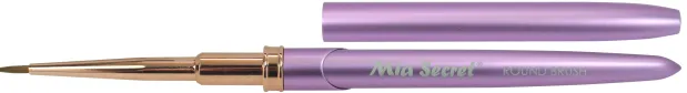 Nail Art Brushes